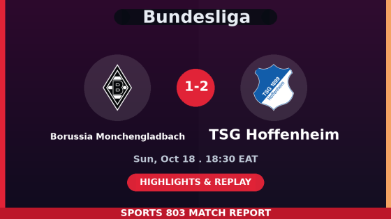 Borussia Mönchengladbach vs TSG Hoffenheim – Sports 803 match graphic